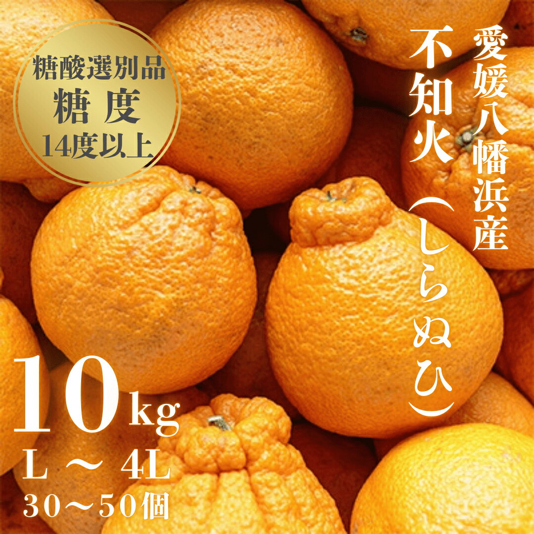 【ふるさと納税】＼糖度14.0以上酸1.4以下/糖酸選別品 愛媛産 不知火 (しらぬひ) 10kg【D20-8】_ デコポン と同品種 しらぬい みかん オレンジ フルーツ 旬 果物 柑橘 愛媛県 愛媛 人気 愛媛みかん 【配送不可地域：離島】【1094587】 YWTI008