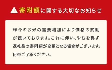 【先行予約】新米 米 ふるさと応援米 10kg 5kg×2 はえぬき 無洗米 令和7年産 2025年10月中旬から11月下旬順次発送 ja-hamxa10-fo10bto11c