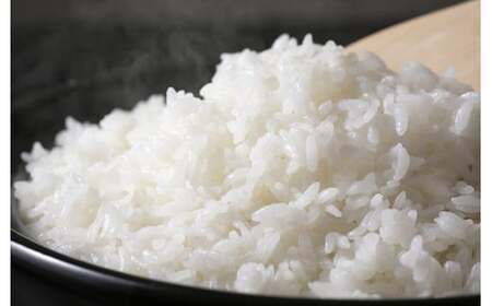 【先行予約！】3回 定期便 令和7年度産 ハツシモ 5kg 新米 水の都大垣の新米 5キロ×3回