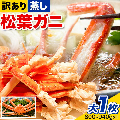 【ふるさと納税】【先行予約】【蒸し】訳あり 松葉ガニ 大 1枚(1枚/800〜940g前後) 高間商店《2026年11月中旬-2027年3月下旬頃出荷》鳥取県 八頭町 送料無料 カニ 蟹 かに 訳あり 鍋 珍味 冬 グルメ ズワイガニ