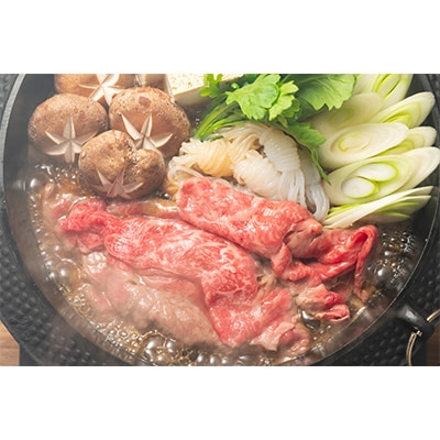 【毎月定期便】【A4～A5】博多和牛しゃぶしゃぶすき焼き用 500g 全6回　AO068