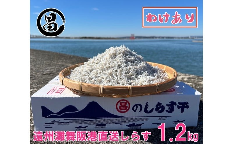 
            わけあり しらす 遠州灘舞阪港直送 しらす干し 1.2kg 冷凍 シラス 訳アリ 【配送不可:離島】 浜松市[№5360-0462]
          