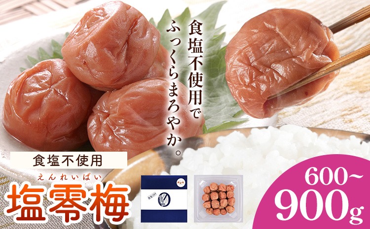 塩零梅 梅干し 紀州南高梅 食塩不使用 有限会社プラム 選べる内容量 600g 900g《30日以内に出荷予定(土日祝除く)》和歌山県 日高町 送料無料 梅 うめ ウメ 南高梅 紀州---wsh_plm14_30d_25_10000_600g---