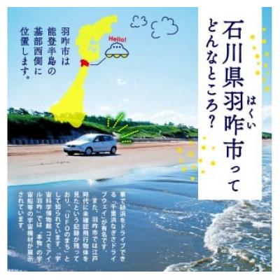 ふるさと納税 羽咋市 【毎月定期便】《数量限定》のと米 精米 15kg ( 5kg × 3袋 )全3回 |  | 02