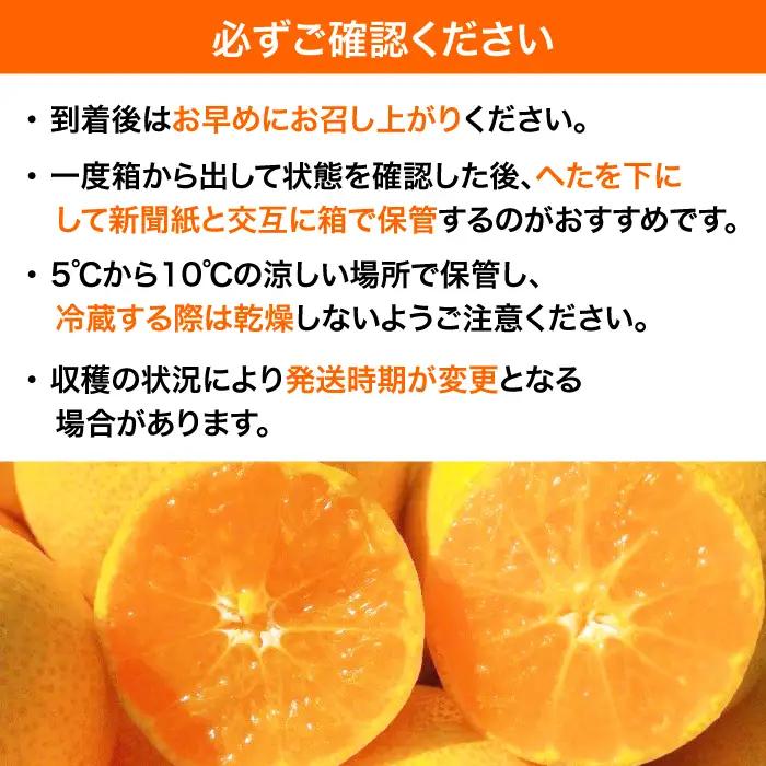 みかん みかん 1.5kg （2S-2L）[AGBC020]