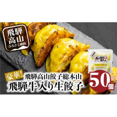 ふるさと納税 高山市 豪華!飛騨牛肉餃子ファミリーパック(50個入)生冷凍 a597