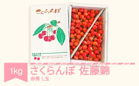 さくらんぼ 佐藤錦 赤秀 L玉 1kg バラ詰 2025年産 令和7年産 山形県産 mm-snalx1000 ※沖縄・離島への配送不可