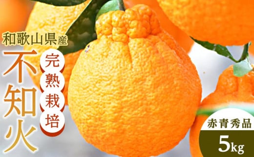 
            不知火（完熟栽培）樹上約300日　15玉～28玉　5kg　赤青秀品【和歌山　海南市　農園直送】
          