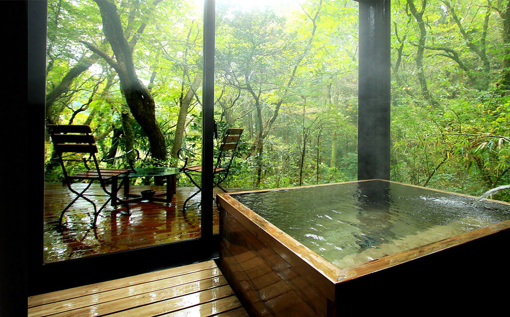 阿蘇の大自然でヘリコプター遊覧と1泊2食付ペア宿泊（乗合ロングコース）はなれの宿 千の森 温泉 旅行  遊覧 ヘリコプター 観光 宿泊 リラックス 体験 食事付き おすすめ 熊本県 阿蘇市 宿泊券＋遊