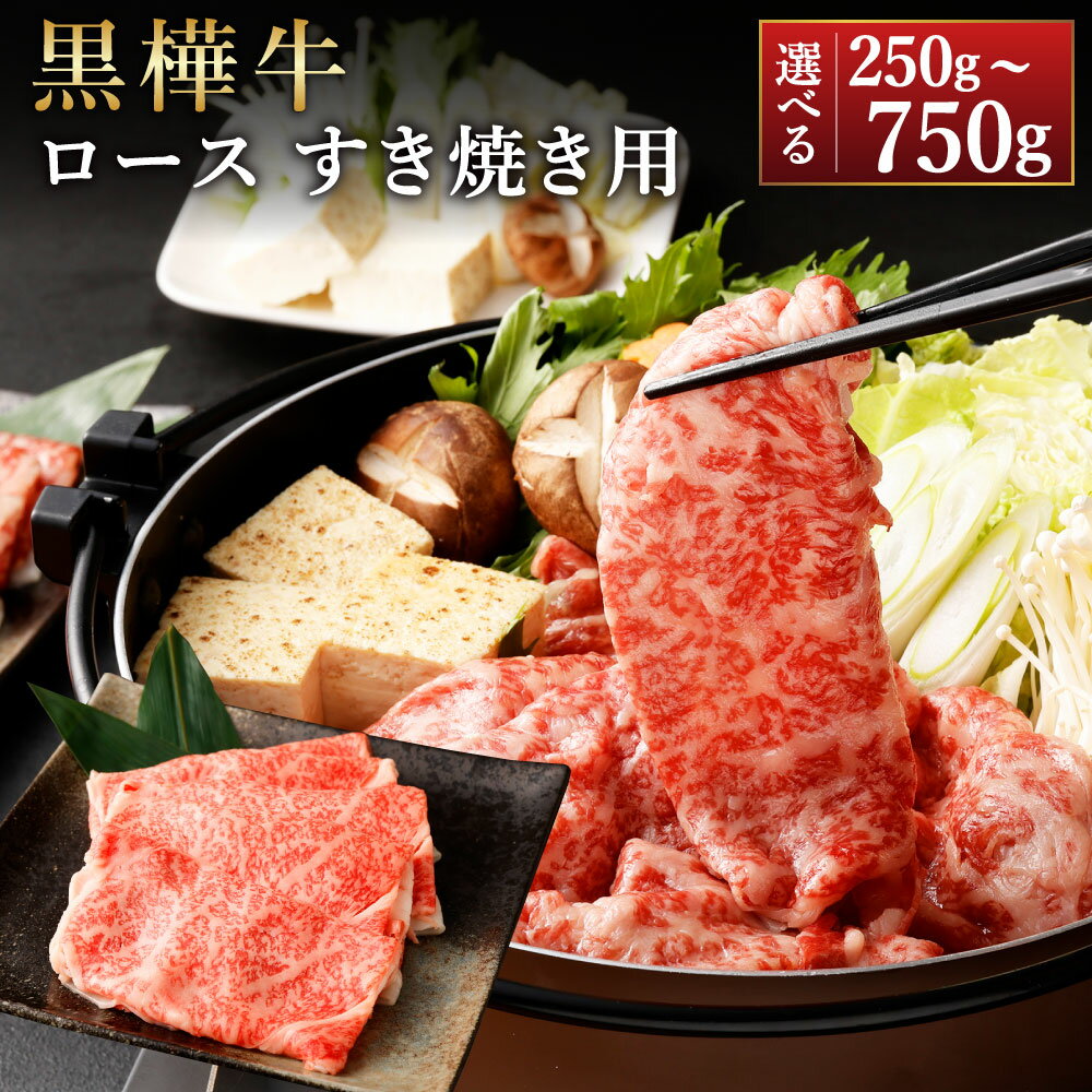 【ふるさと納税】【選べる容量】黒樺牛 ロース すき焼き用 計約250g～約750g くまもと黒毛和牛 黒毛和牛 和牛 牛肉 肉 お肉 すき焼き すきやき スキヤキ うす切り 薄切り 冷凍 お取り寄せ グルメ 九州 熊本県 湯前町 送料無料