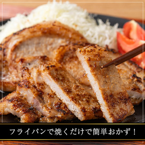 国産 豚ロース 豚肩ロース みそ漬け セット (計1kg・約100g×10パック) 【おきどき】A813-v01
