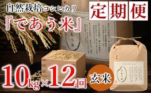 先行予約 米 定期便 10kg 12回 令和7年産 新米 こしひかり 自然栽培 玄米 栄養 豊富 数量限定 お米 こめ おこめ ご飯 ごはん R7 2025年産 こだわり おいしい 美味しい であう米 石川県 能登 羽咋