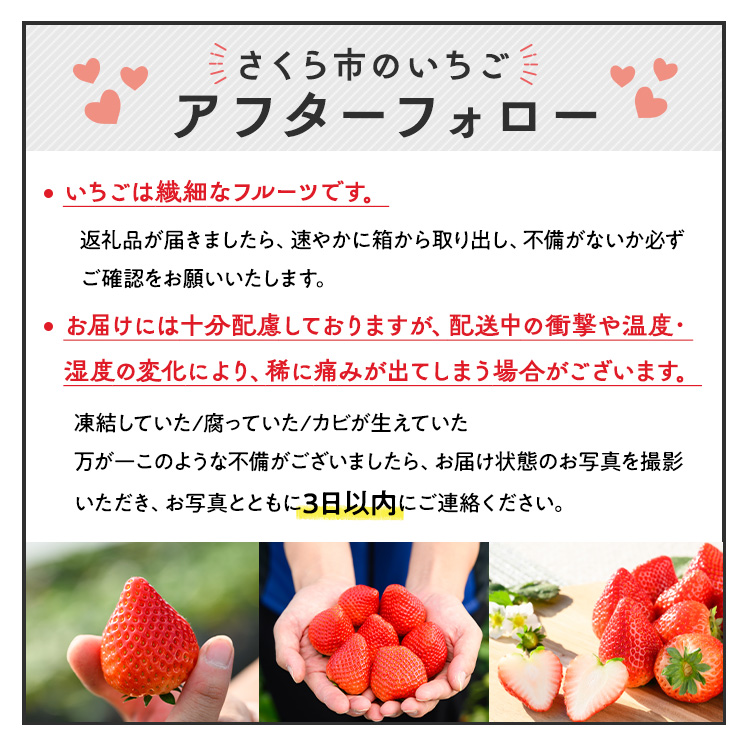 《数量限定》いちご厳選！さくら市産 とちあいか・スカイベリー食べ比べセット（290g×4パック） ｜ 先行予約 栃木県 果物 フルーツ 苺 イチゴ ※2025年1月中旬～3月下旬頃に順次発送予定_イメ