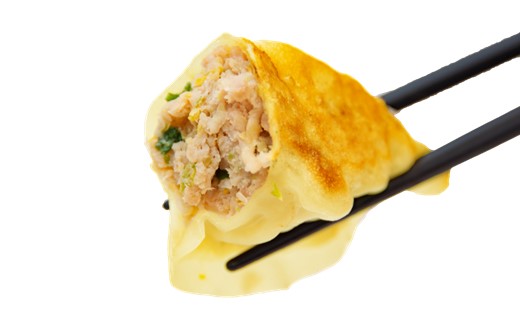A1539.博多餃子40個+博多カレー餃子ミックスセット
