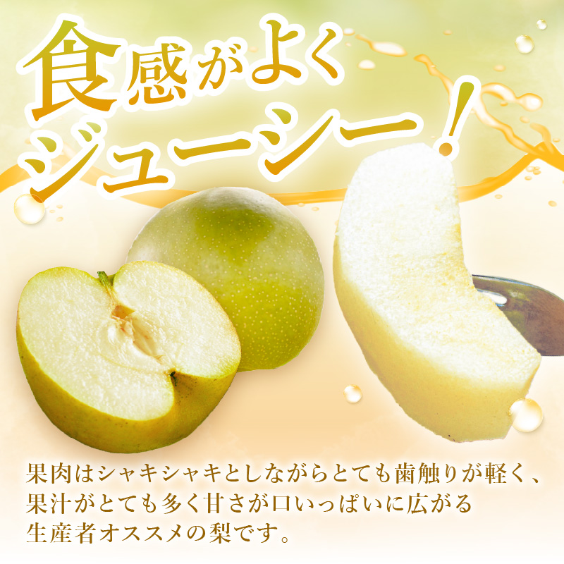 【2025年産先行予約】伊万里梨 「甘太」 約5kg ご自宅用におすすめ B762_イメージ3