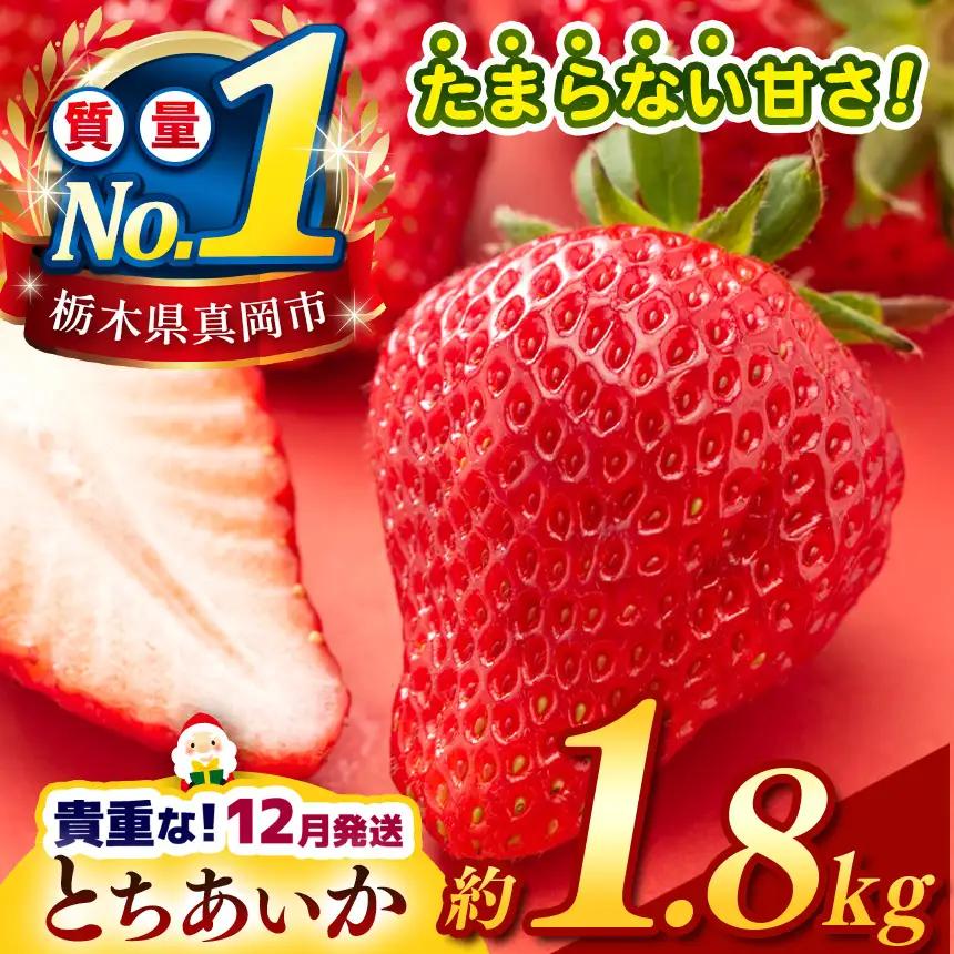 【2026年12月発送】【先行予約】 栃木のこでらんないイチゴ（とちあいか） 約300g×6