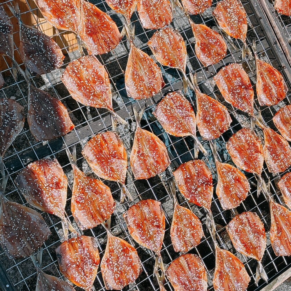 ヤマボシ水産　自家製干物セット◇倉沢の鯵天日干し◇200ｇ×6Ｐ