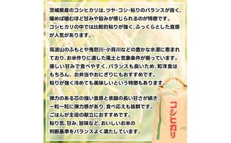 先行予約 令和8年産 米 コシヒカリ 5kg 精米 鹿嶋市産