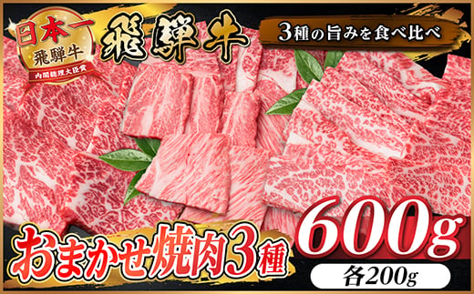
                  飛騨牛　おまかせ焼肉3種セット約600g(各約200g)訳あり　BBQ　上カルビ・ロースなど【1739032】
                