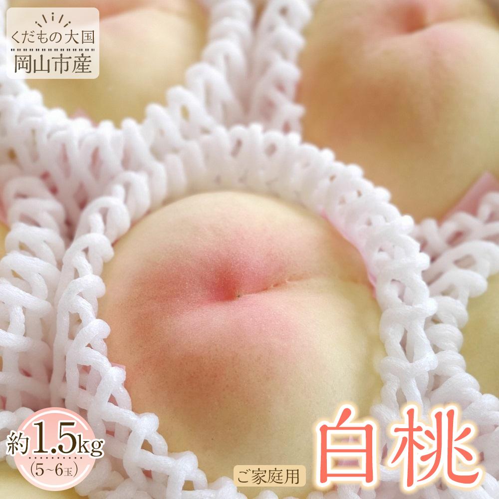 【ふるさと納税】岡山市産 白桃 ご家庭用 約1.5kg 5~6玉 先行予約＜2025年7月上旬～8月下旬頃出荷＞ | 果物 くだもの フルーツ 先行受付 白桃 桃 モモ momo 岡山県 岡山 お取り寄せ 人気 おすすめ