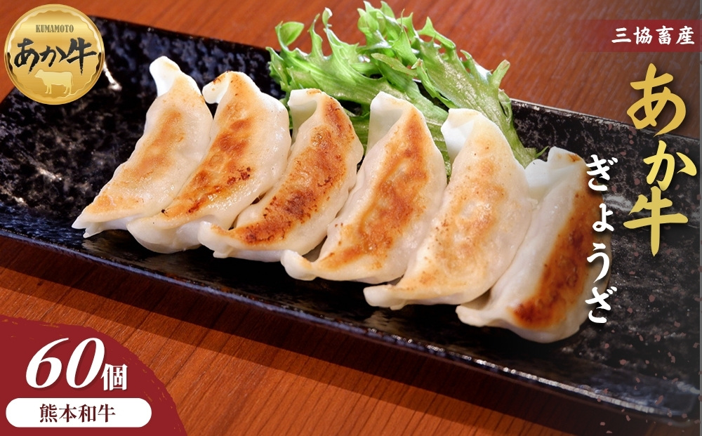 【三協畜産】熊本和牛あか牛ぎょうざ 60個 和牛 国産牛 お取り寄せ ご当地 高級 贅沢 ジューシー餃子 冷凍 あか牛 熊本県産 濃厚肉汁 焼くだけ簡単 熊本県 阿蘇市