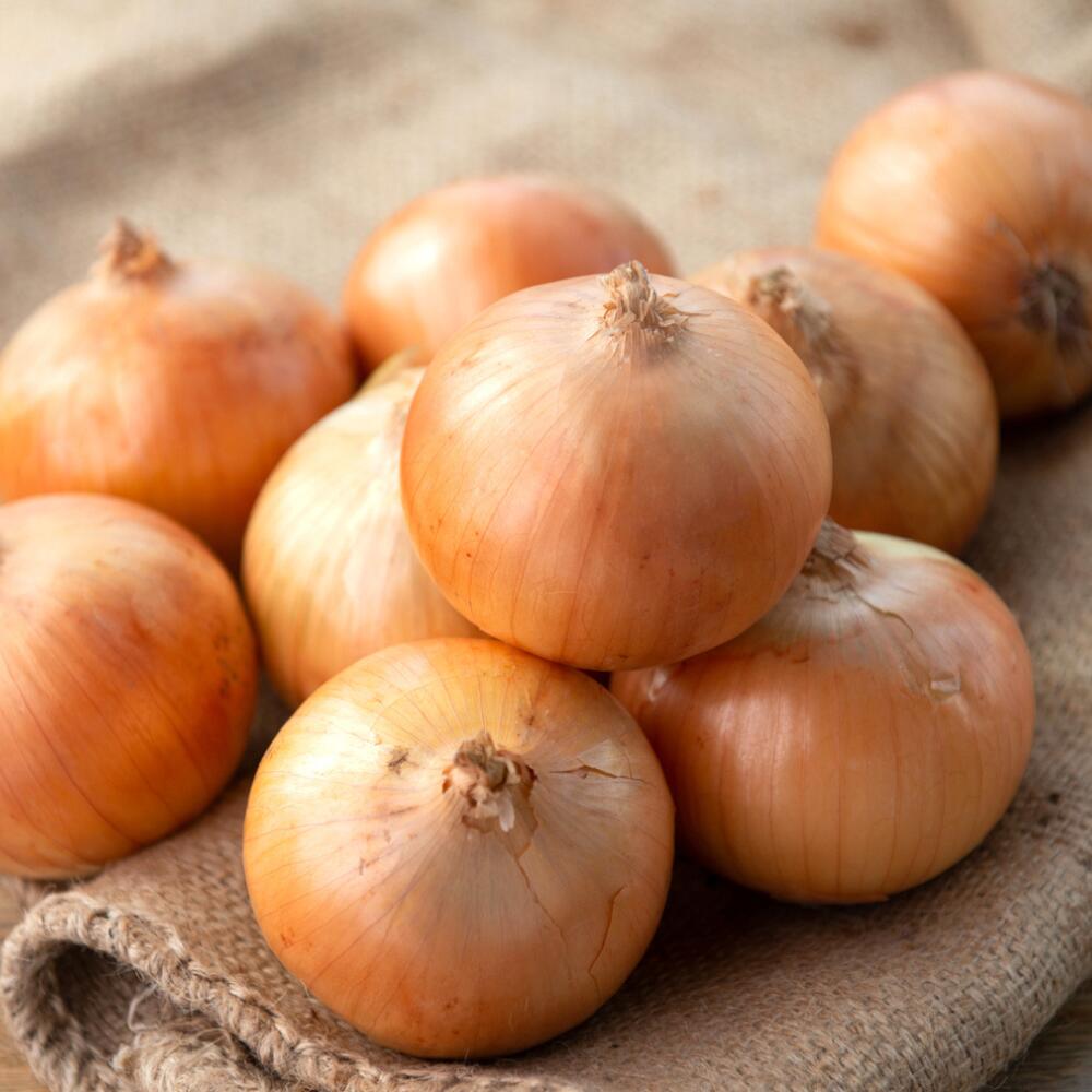 【ふるさと納税】【数量限定訳あり品】玉ねぎSサイズ・10kg（2025年12月上旬から順次発送） 【 ふるさと納税 人気 おすすめ ランキング 玉ねぎ たまねぎ タマネギ 訳あり 野菜 わけあり 北海道 美幌町 送料無料 】 BHRG147