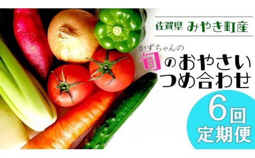 CC004_【6回定期便】かずちゃんの朝採り新鮮野菜セット毎月お届け みやき町産