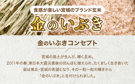 米【 3回 毎月 定期便 】JA加美よつば 金のいぶき 発芽玄米 パックごはん ( 150g × 12個 ) 全3回  [加美よつば農業協同組合 宮城県 加美町 yo00005-3]  玄米 レトルト