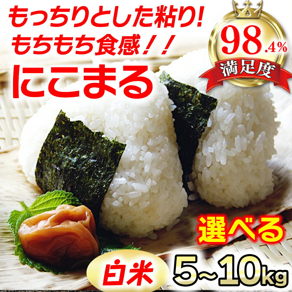 【ふるさと納税】【PRキャンペーン対象】【新米】【7年産】近江米にこまる白米 5kg / 10kg 茶谷ファーム 滋賀県産
