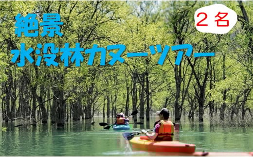 絶景 水没林カヌーツアー（2名様）※3月下旬から5月下旬　