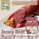 【ふるさと納税】【十勝高田牧場物語】Jersey Beefウィンナーソーセージ4袋 【 ふるさと納税 人気 おすすめ ランキング ウィンナー ソーセージ 肉 加工品 大容量 北海道 鹿追町 送料無料 】 SKM020