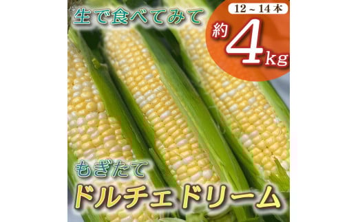 とうもろこし もぎたて ドルチェドリーム 約 4kg 12本~14本 トウモロコシ コーン 美味しい おいしい 茹でとうもろこし 焼きとうもろこし スープ 野菜 やさい バーベキュー BBQ 産地直送 新鮮 生鮮 食品 静岡県 牧之原市 タイラファーム