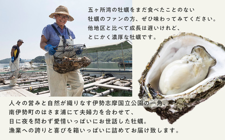 冷蔵かき 28個 かき 空コース 牡蠣