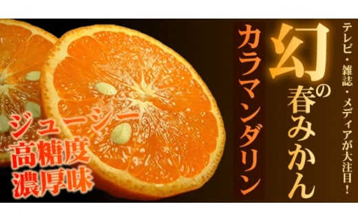 カラマンダリン 2.8kg サイズおまかせ / みかん 蜜柑 柑橘 果物 フルーツ 紀伊国屋文左衛門本舗 ※2027年4月上旬～5月上旬頃順次発送予定(お届け日指定不可) 【kmtb015-r-2d8】