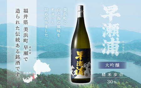 【お中元】 入手困難【早瀬浦】大吟醸 1800ml × 1本【日本酒 地酒 福井 美浜 早瀬 フルーティ 男酒 硬水 ミネラル 希少 ご褒美 家飲み 就職祝い 転職祝い ハレの日 敬老の日 プレゼント
