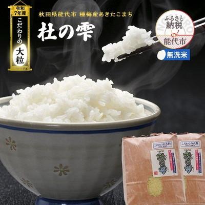 ふるさと納税 能代市 新米 定期便6ヶ月 無洗米 あきたこまち 杜の雫 9kg×6回[No.5335-1612]