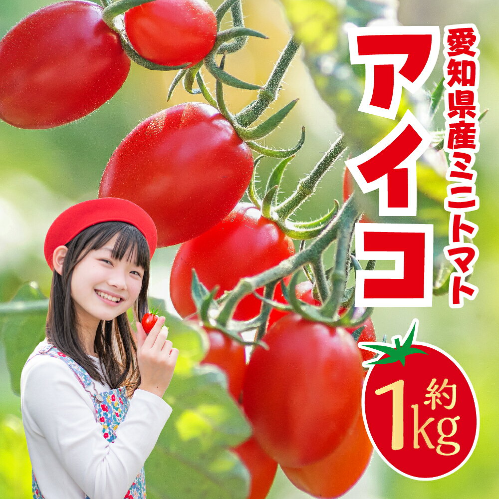 【ふるさと納税】≪先行予約≫ミニトマト アイコ 約1kg トマト フルーツトマト ミニトマト プチトマト 野菜 フルーツ 果物 旬 旬の果物 甘い 高糖度 サラダ とまと tomato お取り寄せ 人気 送料無料 1万円 10000円 愛知県 豊橋市