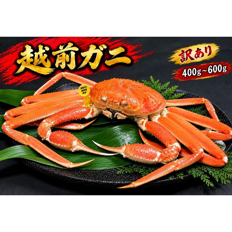 【11/15～30出荷】かに 越前ガニ 訳あり 1本足折れ 400g～600g ボイル  茹で 越前がに 越前かに ずわいがに ズワイガニ カニ 姿  蟹鍋 献上ガニ 産地直送 お歳暮 福井県おおい町　ギフト