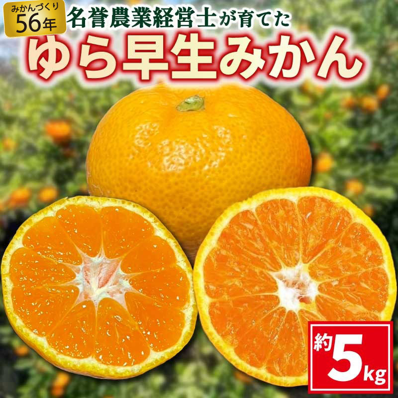 【ふるさと納税】 ゆら 早生 みかん 約 5kg 【 はら みかん 農園 】 柑橘 オレンジ 沼津 静岡 フルーツ 直送 数量 限定 【早期予約10月発送】