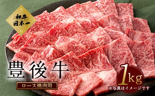 数量限定 大分県竹田市産 おおいた和牛 ロース 焼肉用 【1kg】