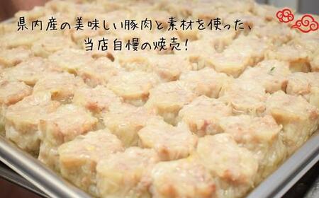 ＼ぎゅっとしっかり食べ応え／しゅうまい（ノーマル10個・おとな10個）計20個