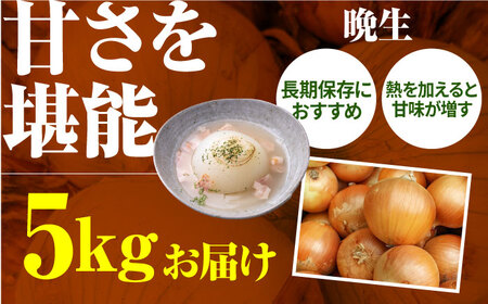 【2回定期便】玉ねぎ定期便 5kg/回 / 玉ねぎ [IAO026]
