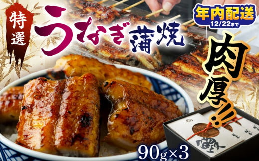 特選　蒲焼うなぎ（短冊）肉厚うなぎを炭火焼！ ｜ふるさと納税 特選 蒲焼うなぎ 短冊 肉厚うなぎ炭 高級蒲焼 国産うなぎ 肉厚 炭火焼うなぎ 贅沢 肉厚うなぎ蒲焼特選 炭火焼うなぎ ギフト 栃木県 那珂川町 送料無料