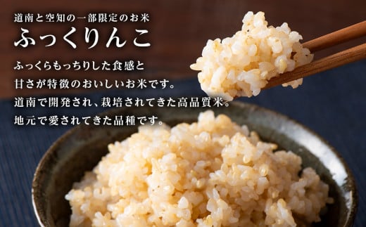  ★定期便★金賞農家★が作る「ふっくりんこ（玄米）」2kg×2パック×10回《杉本農園》