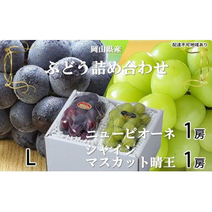 【ふるさと納税】ぶどう 2025年 先行予約 ニュー ピオーネ 1房 約400g シャイン マスカット 晴王 1房 約400g 詰め合わせ ブドウ 葡萄 岡山県産 国産 フルーツ 果物 ギフト | フルーツ 果物 くだもの 食品 人気