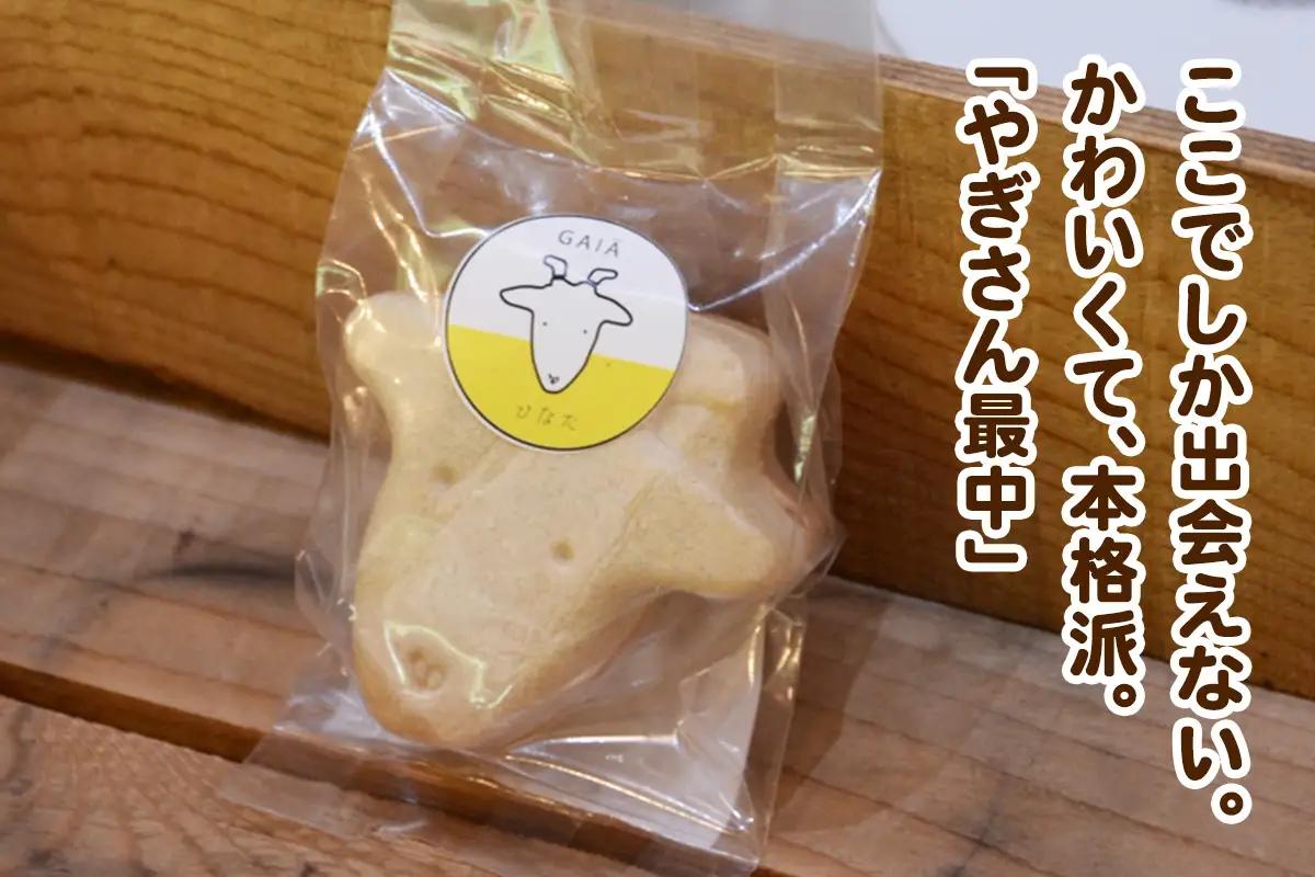 やぎさん最中 12個 (小豆餡／手亡餡 各3個セット×2箱) [1312]