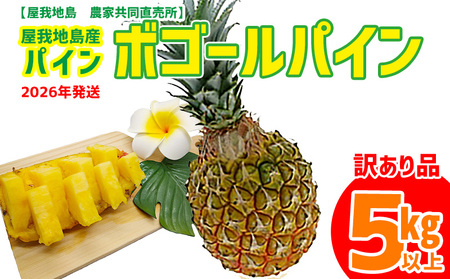 《訳あり品》2026年【屋我地島　農家協同直売所】屋我地島産ボゴールパイン約5kg パイナップル 訳あり品 沖縄 わけあり パインアップル ぱいん フルーツ デザート 名護 訳あり ご当地 送料無料 ふるさと納税 お取り寄せ 生産者応援 5キロ くだもの 屋我地島 農家 共同直売所