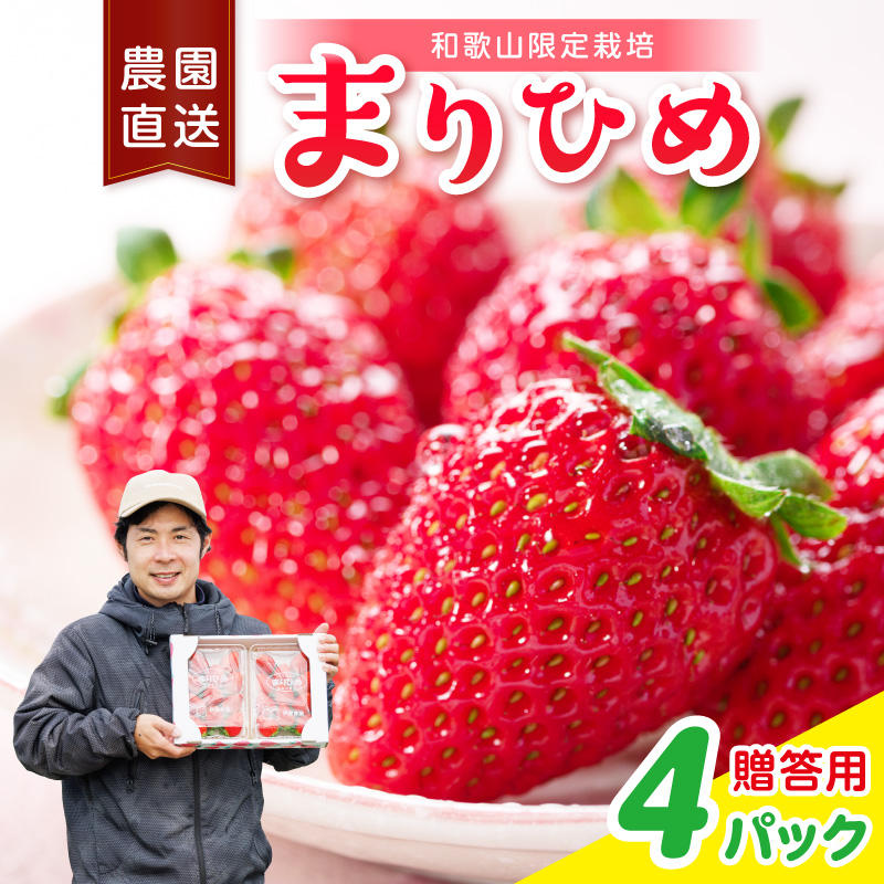 まりひめ4パック《先行予約》2027年1月～4月末まで順次発送予定【配送不可地域：北海道・青森・秋田・岩手・沖縄・離島】【1300】