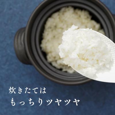 ふるさと納税 宮崎市 【令和8年産・新米】井野農園のほしじるし |  | 02
