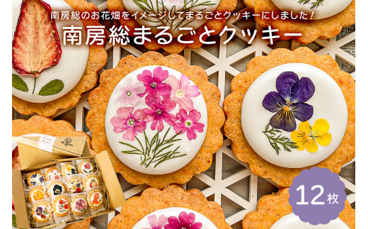 
のし対応可能 南房総まるごとクッキー12枚入（カレンデュラ＆レモン、菜の花＆落花生）mi0085-0003
